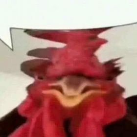 Kaiba