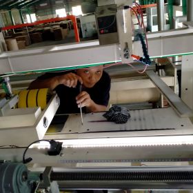 Cu to không lo lỏng lẻo