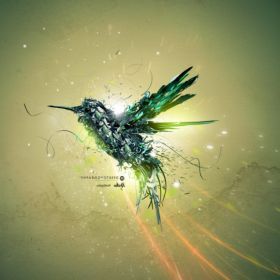 Digital Bird