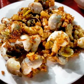 xjchlong hoa