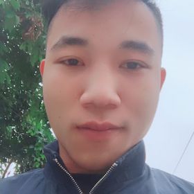 van dinh trinh