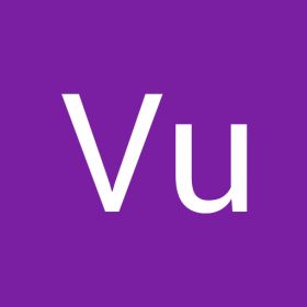 Vu Vo Luan