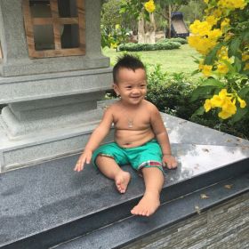 thanh phụng thanh phụng