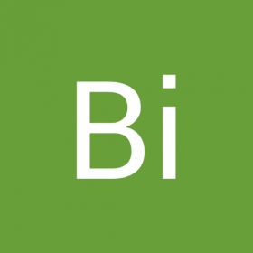 Bi Ho