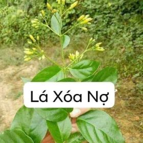 Đăng Black