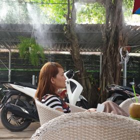 Tan thanh Nguyen
