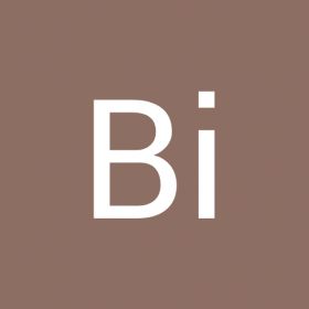 Bi An