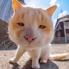 Tà Yêu