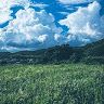 Nghia Do